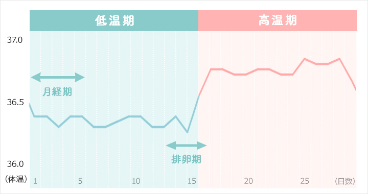 基礎体温について知っておきましょう